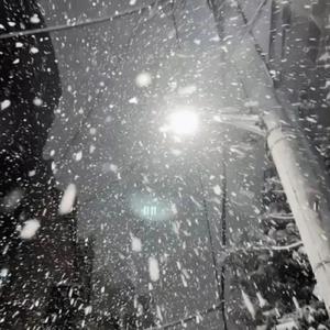 人妻无码性爱视频
